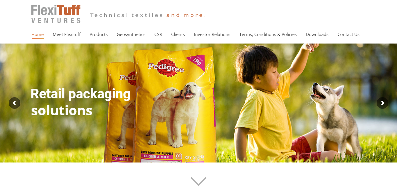Website preview of Flexituff Ventures International a leading Packaging Company in India.